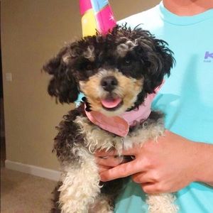 Meet your Posher, Elaina